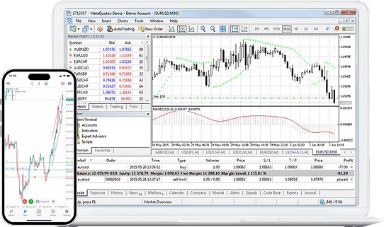 MT5 Trading Interface